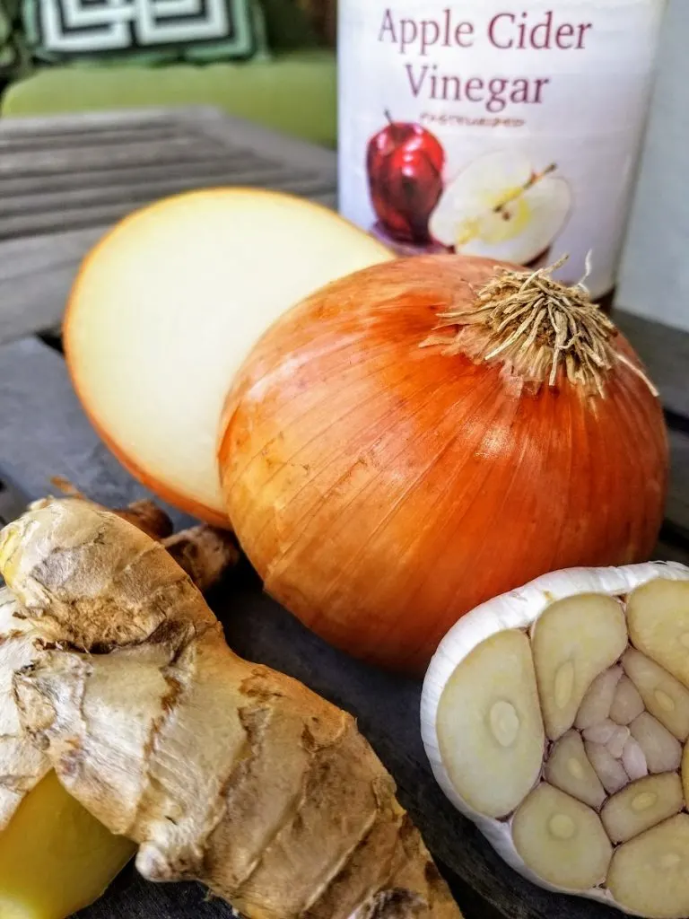 Instant Pot Bone Broth Onion and Ginger