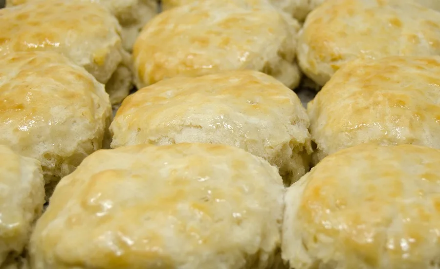 Crockpot Chicken and Dumplings Recipes Buttered Biscuits