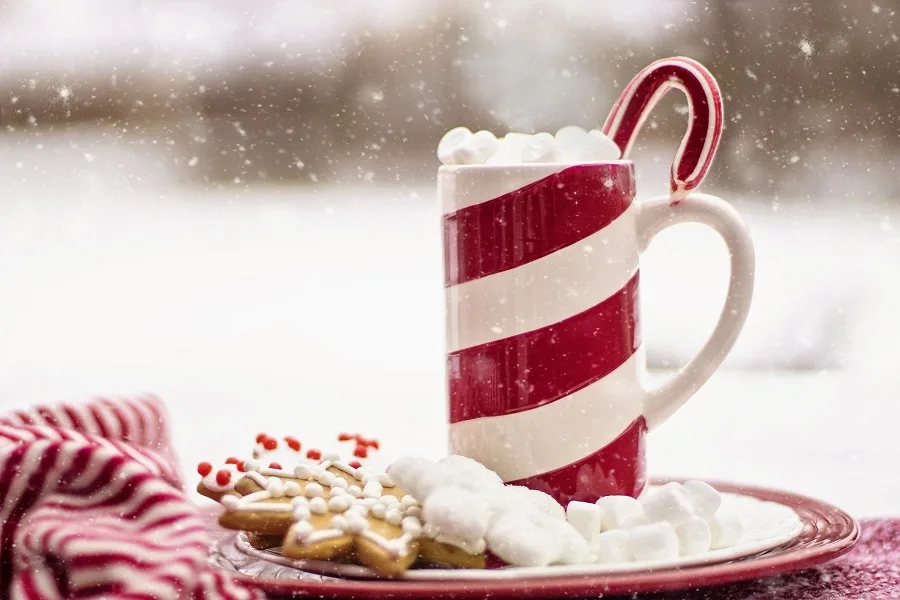 Hot Cocoa Crockpot Recipes Red and White Cup Filled with Hot Chocolate on a Window Sill With a Plate of Cookies and a Candy Cane