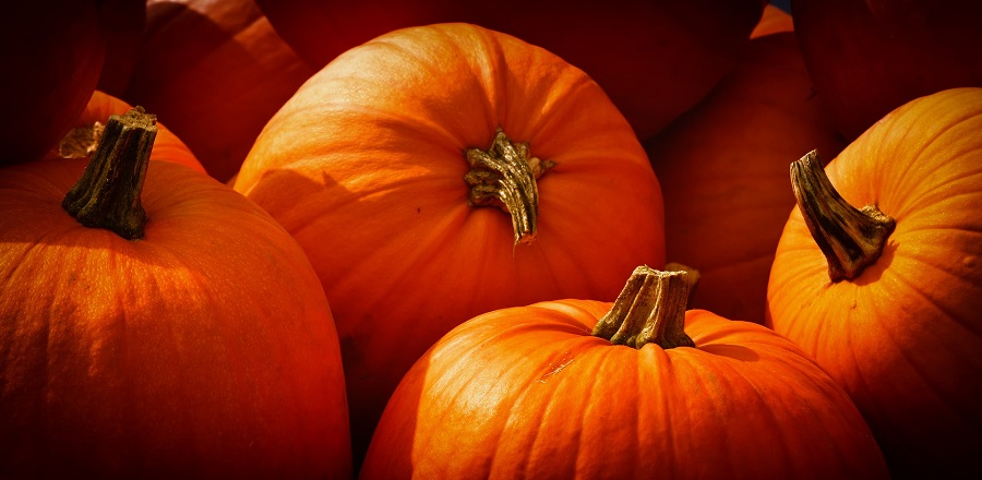 Slow Cooker Fall Dump Cake Recipes Pumpkins