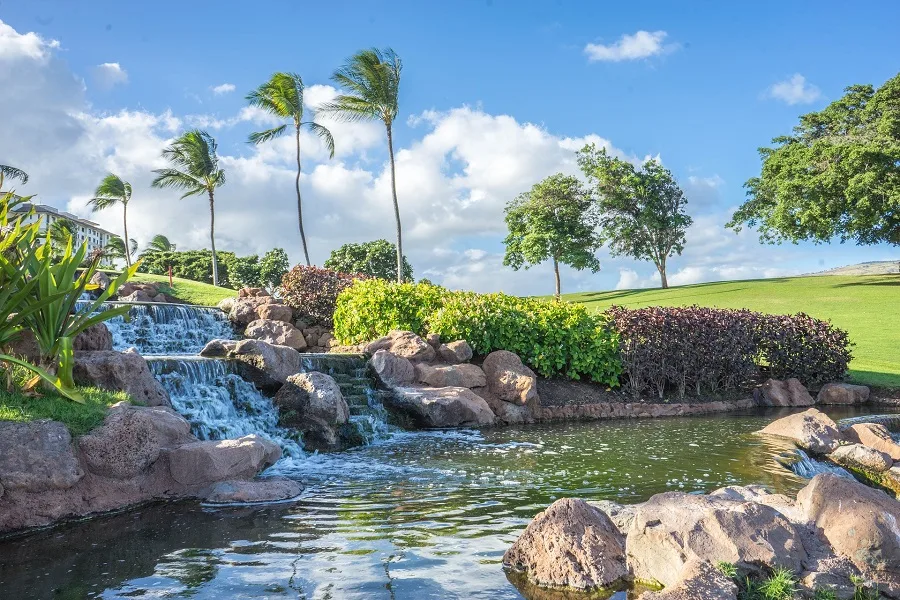 Crockpot Hawaiian BBQ Recipes A Small Waterfall in the Distance with Palm Trees Surrounding It