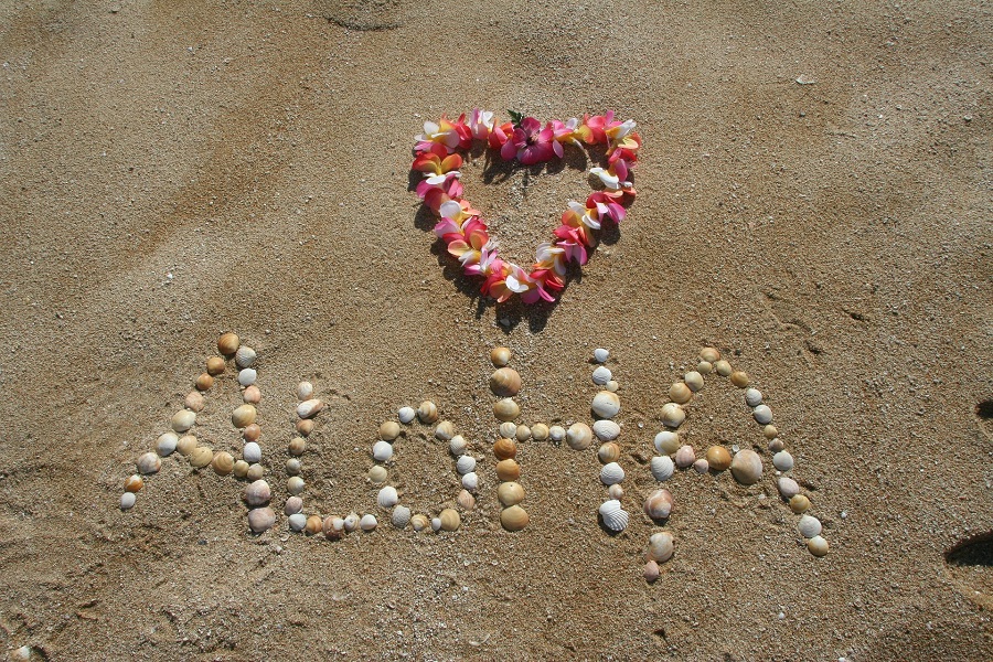Crockpot Hawaiian BBQ Recipes A Message in The Sand with a Heart Made of Flowers That Reads Aloha