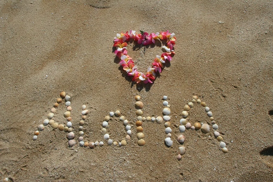 Crockpot Hawaiian BBQ Recipes A Message in The Sand with a Heart Made of Flowers That Reads Aloha
