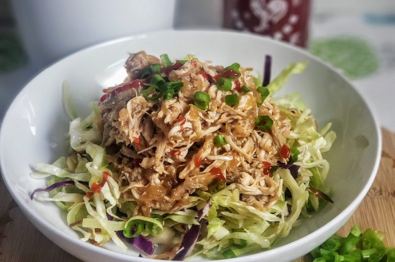 Kid Friendly Crockpot Recipes with Chicken Close Up of a Bowl of Hawaiian Chicken