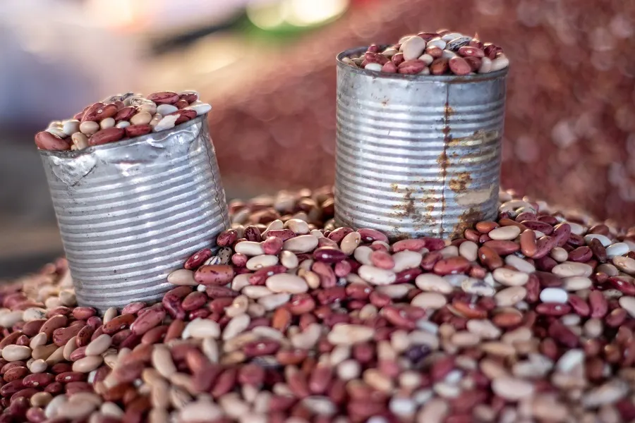 Instant Pot Tips for Cooking Beans Two Cans of Beans On Top of a Pile of Beans