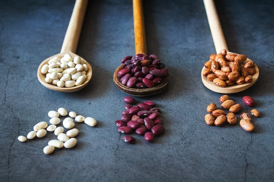 Instant Pot Tips for Cooking Beans Three Wooden Spoons Each Filled with a Different Type of Bean