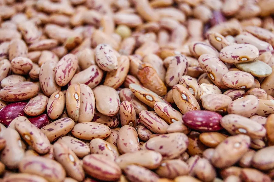 Instant Pot Tips for Cooking Beans Close Up of Dry Pinto Beans