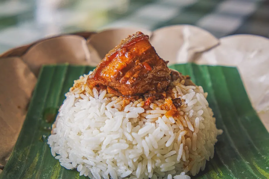 Instant Pot Tips for Cooking Rice Close Up of Rice with Meat On Top