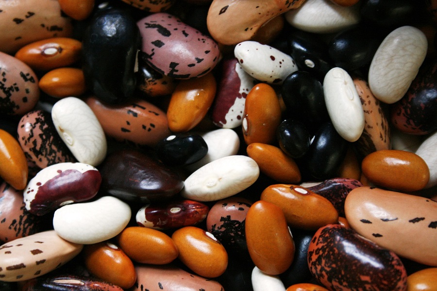 Instant Pot Tips for Cooking Beans Close Up of an Assortment of Beans
