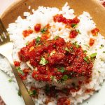 Salsa Chicken and Rice Crock Pot Recipe Overhead of a Plate of Salsa Chicken and White Rice