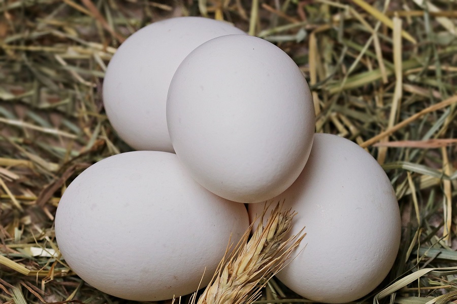 Instant Pot Breakfast Recipes with Eggs Close Up of Eggs in a Bed of Straw