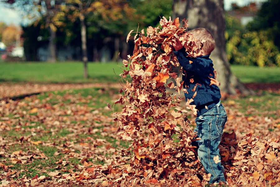 Cozy Fall Crockpot Recipes a Little Boy Playing with a Pile of Fall Leaves