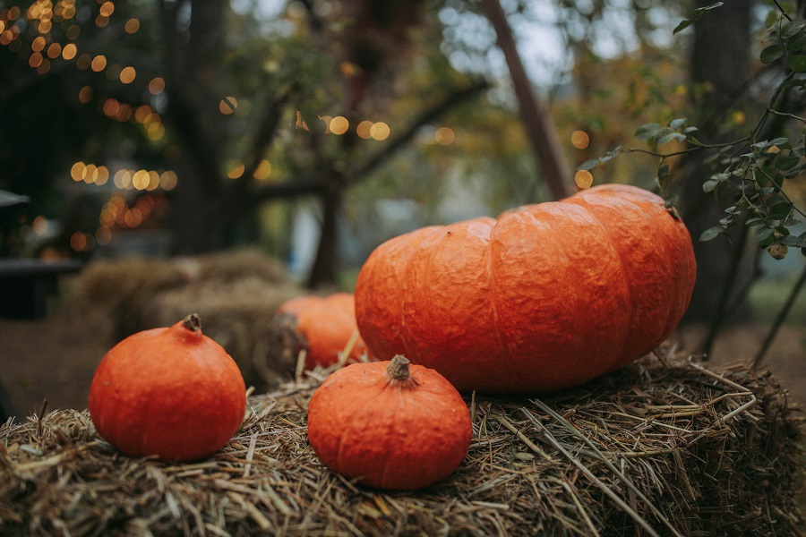 Crockpot Pumpkin Bread Recipes Close Up of Pumpkins on a Haystack