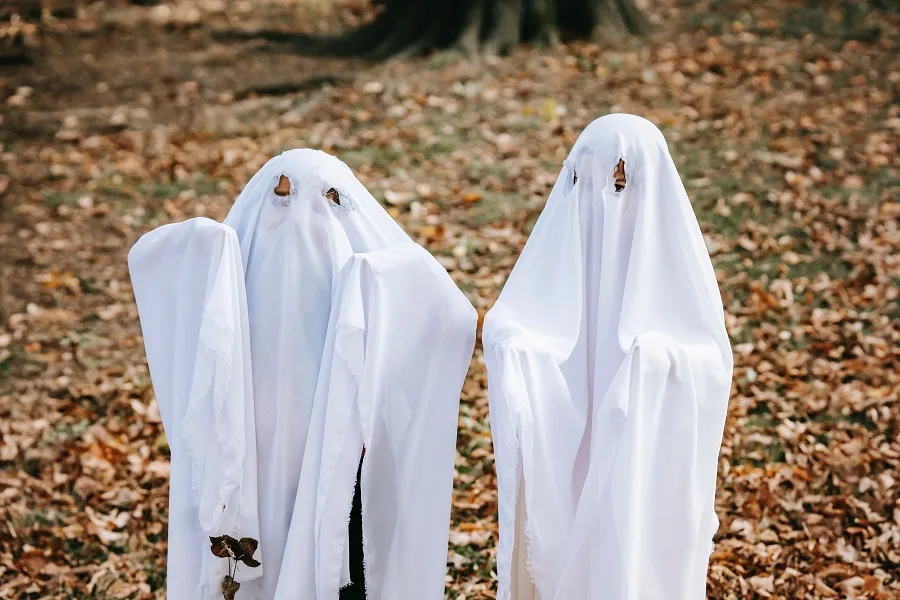 Instant Pot Halloween Party Recipes Two Kids Dressed as Ghosts for Halloween