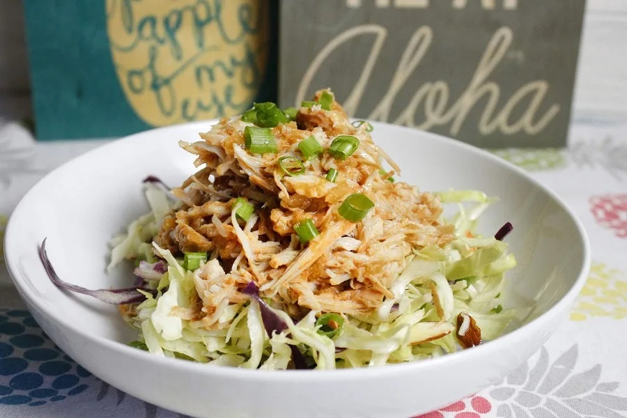 Date Night Crockpot Recipes Close Up of a Bowl of Hawaiian Chicken