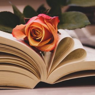 Romantic Instant Pot Recipes for Two Close Up of a Rose in a Book