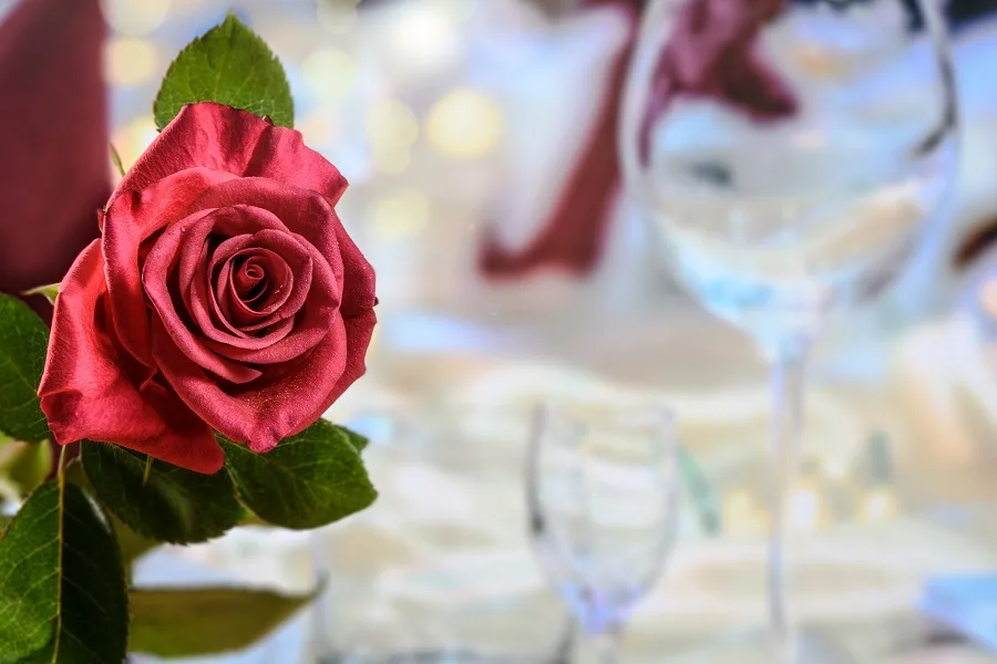 Romantic Instant Pot Recipes for Two Close Up of a Rose with Wine Glasses in the Background