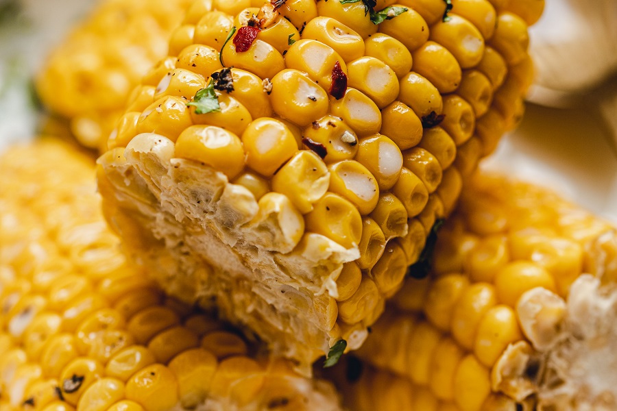 Crockpot Corn on the Cob with Coconut Milk Recipe Close Up of Cooked Cobs