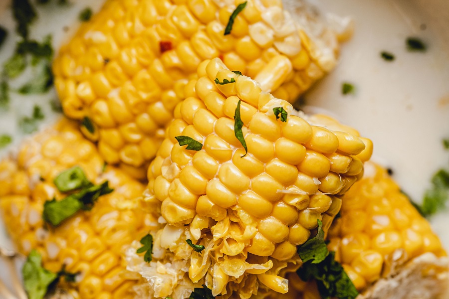 Crockpot Corn on the Cob with Coconut Milk Recipe Close Up of Cobs Sprinkled with Cilantro