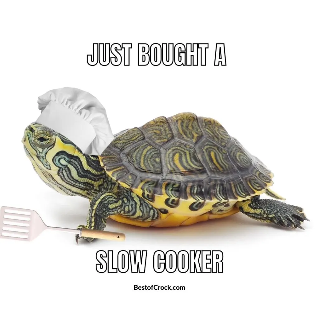 Funny But True Slow Cooker Quotes Just bought a slow cooker.