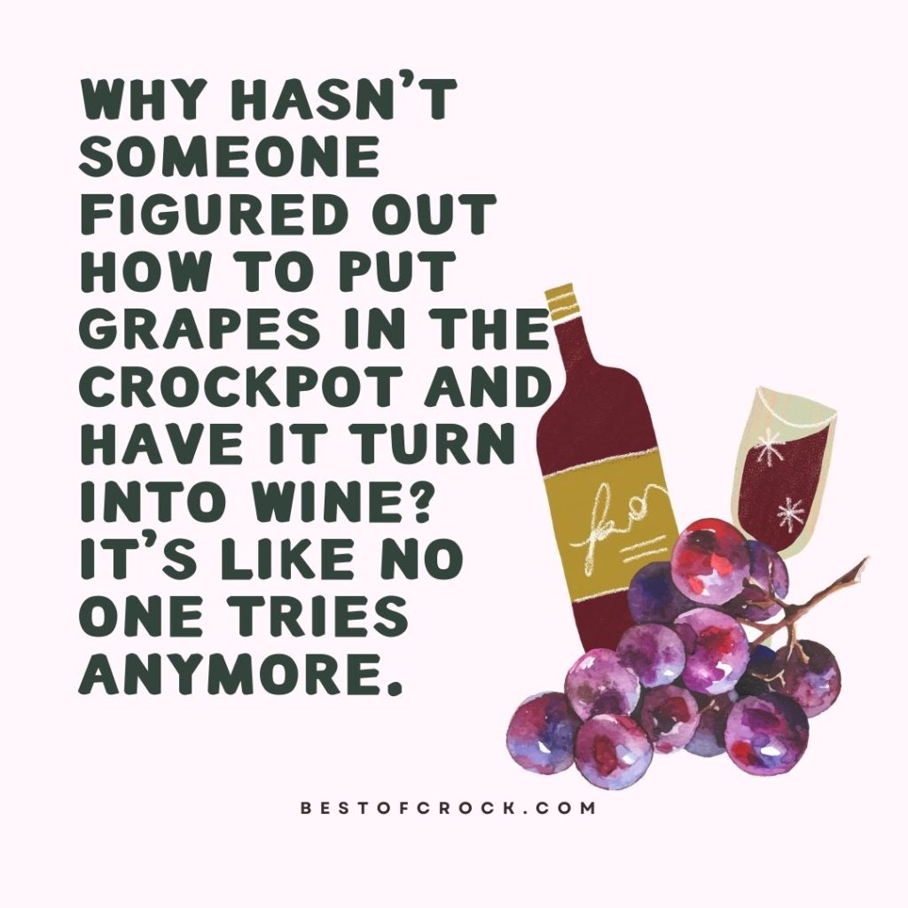 Funny Slow Cooker Quotes Why hasn't someone figured out how to put grapes in the crockpot and have it turn into wine? It's like no one tries anymore.