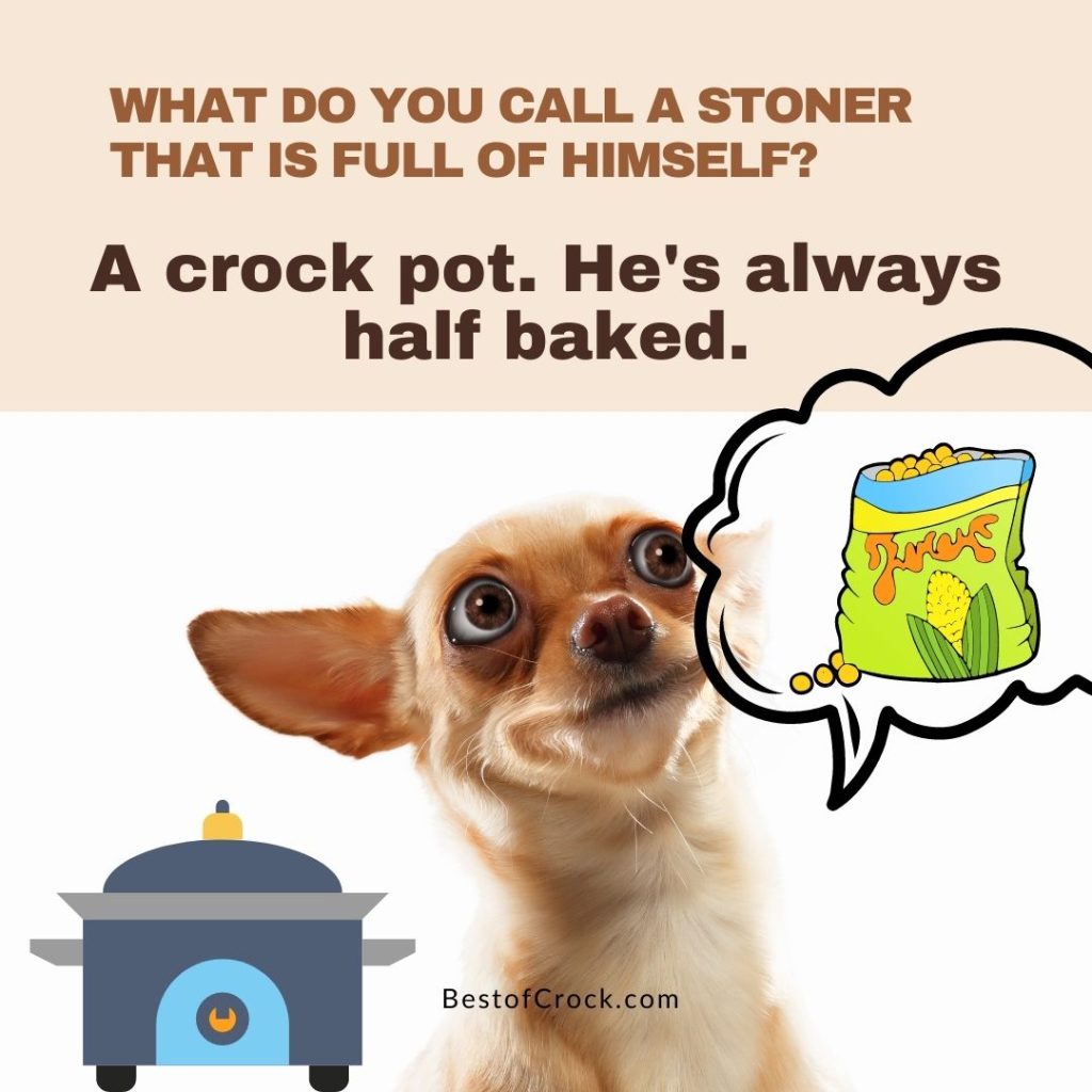 Crockpot Quotes About Life What do you call a stoner that is full of himself? A crock pot. He’s always half baked.