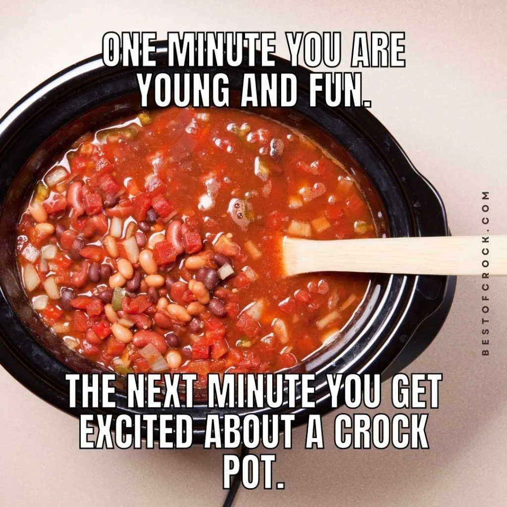 Funny But True Slow Cooker Quotes One minute you are young and fun. The next minute you get excited about a crock pot.