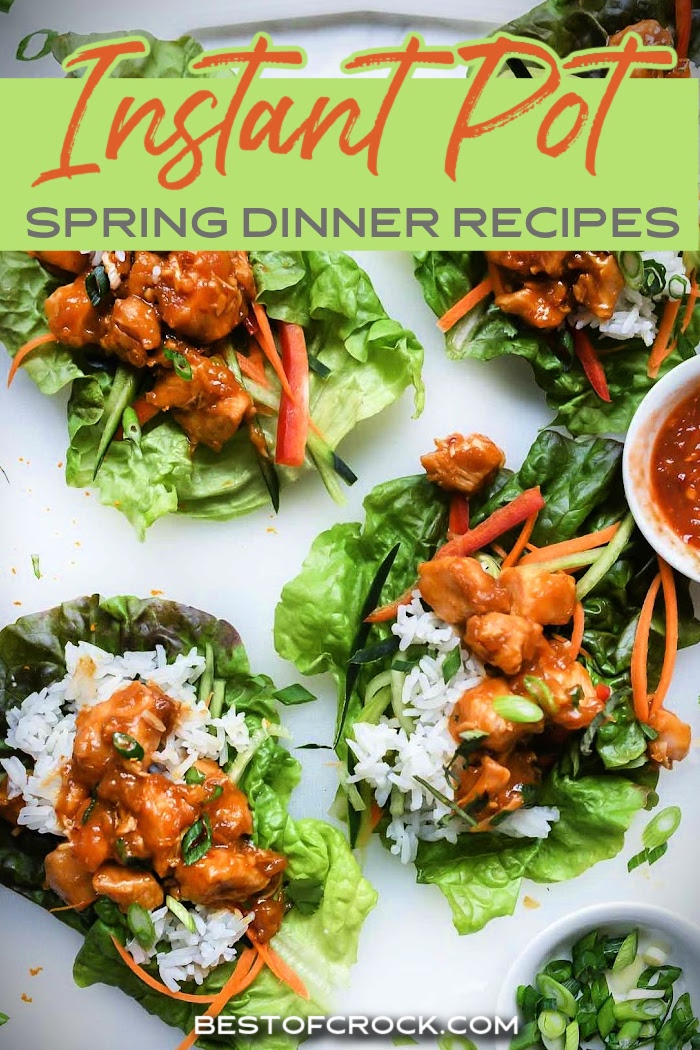 Easy Instant Pot Spring Dinner Ideas - Best of Crock