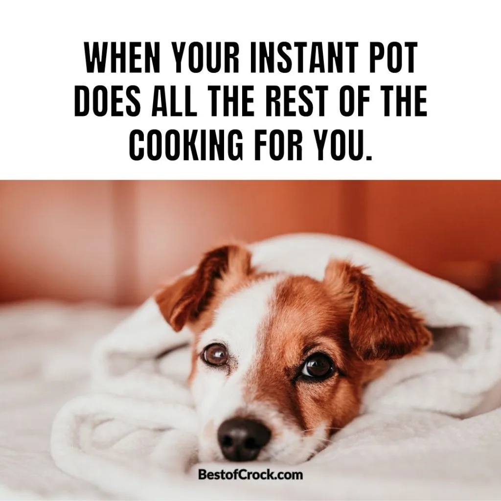 I Love my Instant Pot Memes When your Instant Pot does all the rest of the cooking for you.
