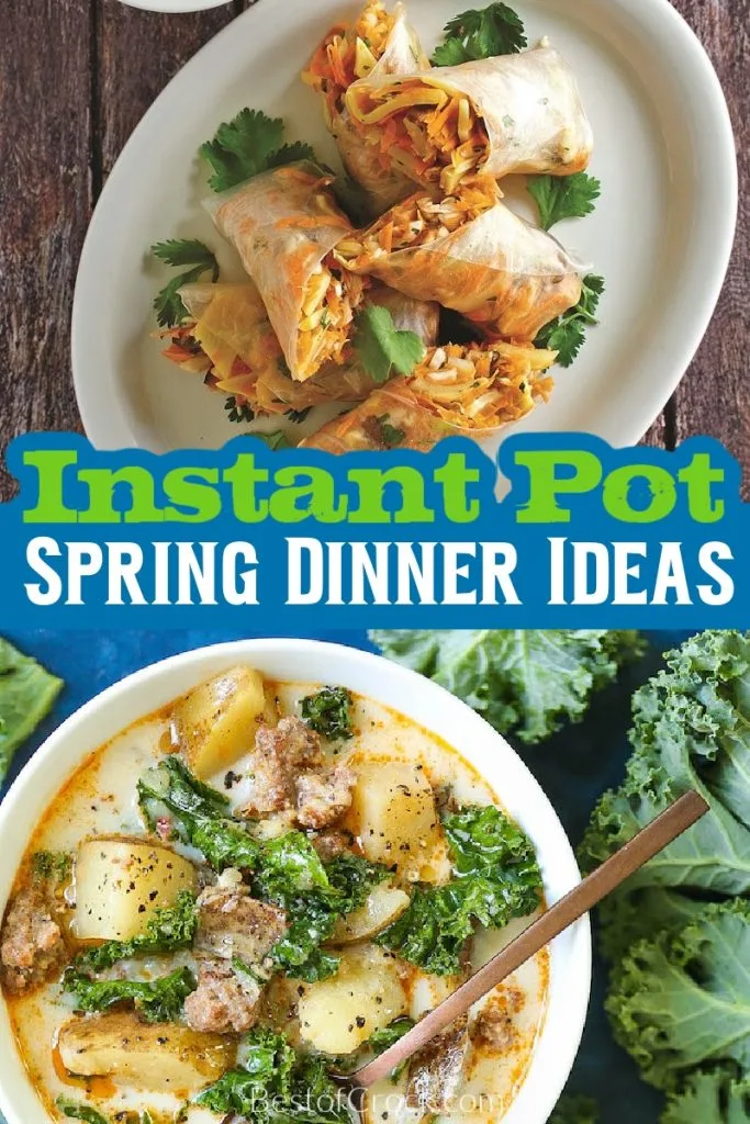 The best Instant Pot spring dinner ideas can help you make quick dinner recipes, enjoy the outdoors more, and eat delicious dinner recipes. Spring Dinner Ideas | Recipes for Spring | Spring Picnic Ideas | Instant Pot Picnic Recipes | Instant Pot Recipes for Spring | Pressure Cooker Dinner Recipes | Pressure Cooker Spring Recipes | Family Dinner Recipes | Quick Dinner Recipes | Easy Dinner Recipes | Healthy Spring Dinner Recipes #springrecipes #instantpotrecipes