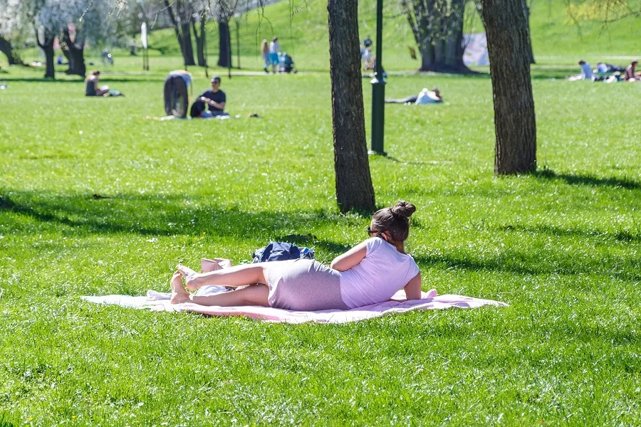Instant Pot Spring Dinner Ideas Woman Enjoying a Picnic at a Park