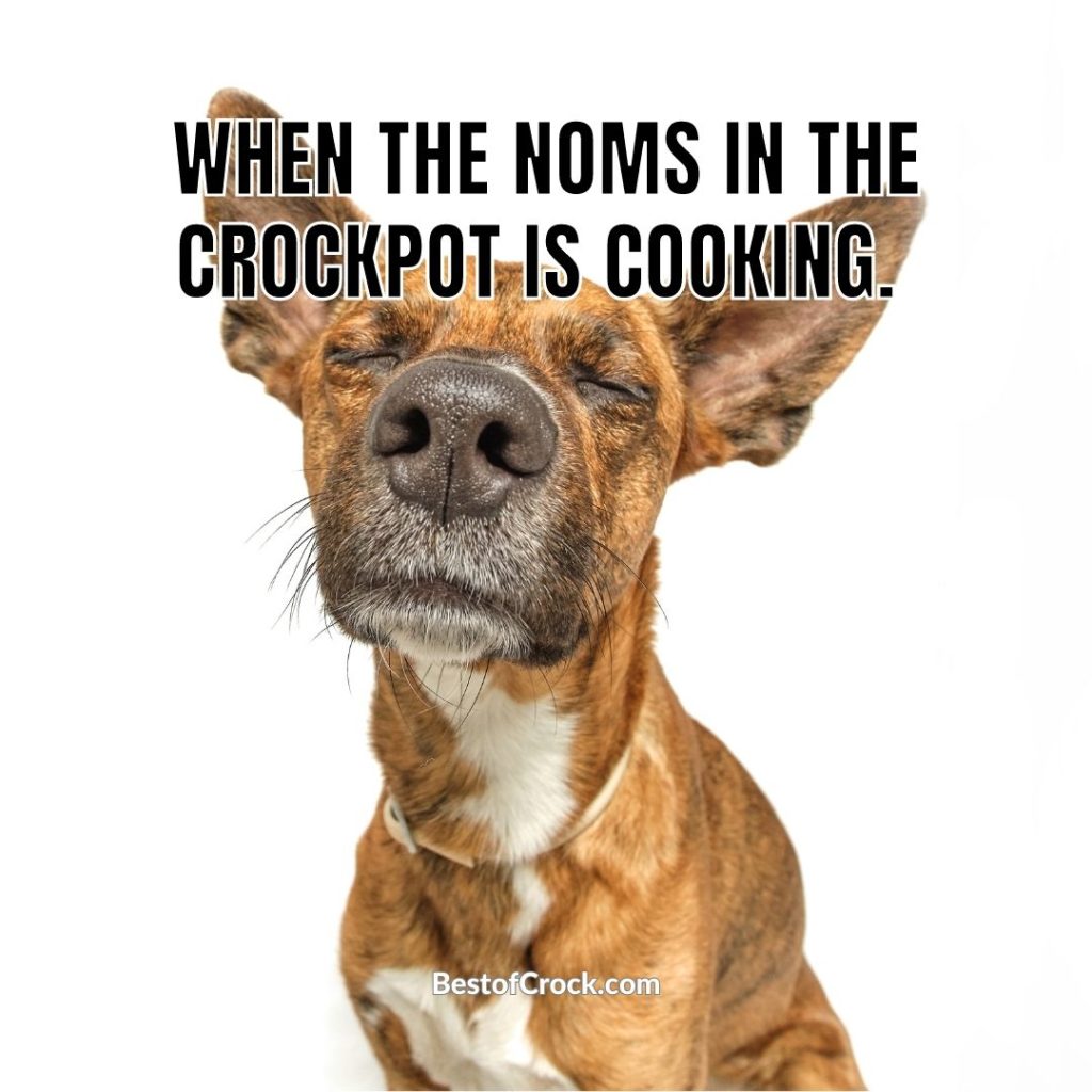 Crockpot Memes When the noms in the crockpot is cooking.