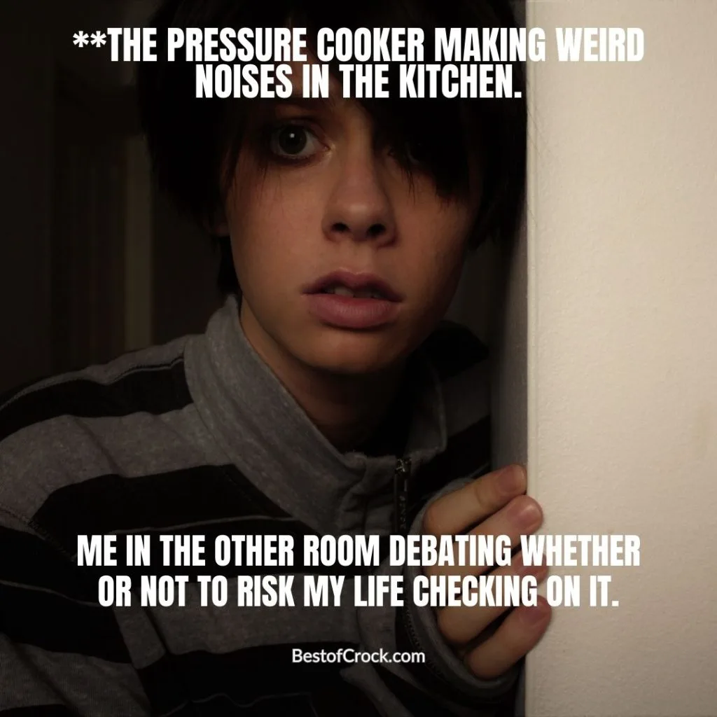 Time Saving Instant Pot Jokes **The pressure cooker making weird noises in the kitchen. Me in the other room debating whether or not to risk my life checking on it.
