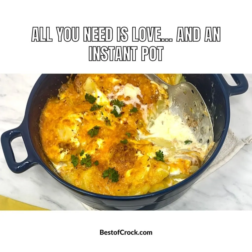 Time Saving Instant Pot Jokes All you need is love…and an Instant Pot. 