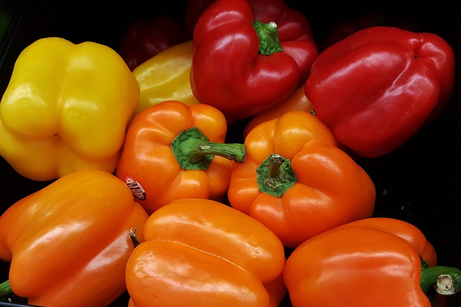 Crockpot Pepper Steak Recipes Close Up of Red, Yellow and Orange Bell Peppers