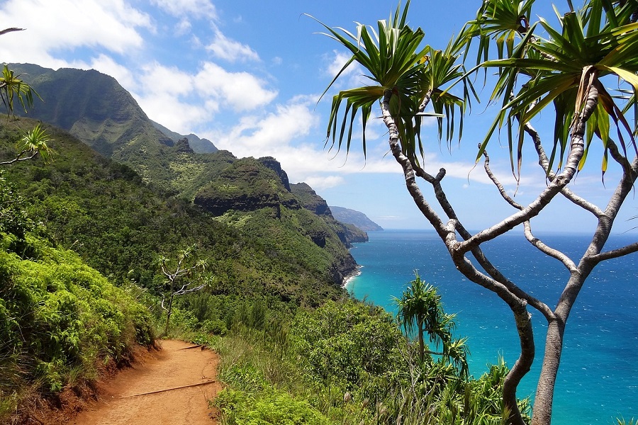 Hawaiian Crockpot Recipes View of a Hiking Trail in Hawaii