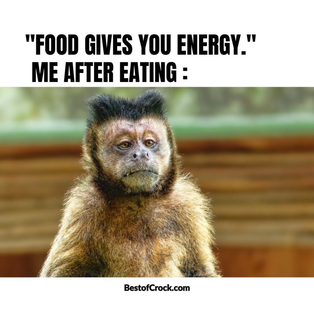 Funny Spring Memes “Food gives you energy.” Me after eating…