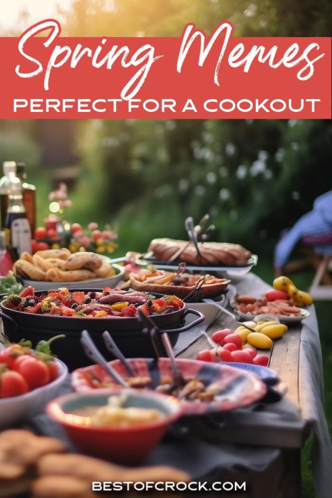 Funny spring memes for a cookout can help us get in the proper mindset to make some amazing cookout recipes for a crowd. Funny Memes for Cookouts | Funny Cookout Memes | Jokes About Cookouts | Funny Spring Dinner Party Memes | Potluck Memes | Funny Quotes for Cookouts #springmemes #cookoutmemes