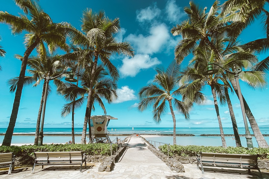Hawaiian Crockpot Recipes View of a Beach with Palm Trees Lining a Wooden Walkway to the Sand