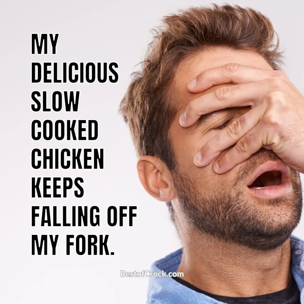Slow Cooked Memes About Crockpots My delicious slow cooked chicken keeps falling off my fork.