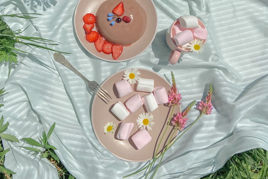 Summer Bod Memes Close Up of a Plate of Food and a Cake on a Picnic Blanket Outside