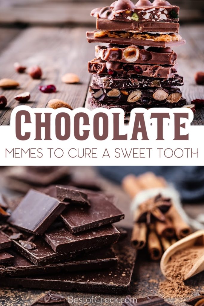 Chocolate is in all of our lives in one way or another, so why not celebrate that with some funny chocolate memes? Funny Chocolate Memes | Jokes About Chocolate | Chocolate Sayings | Chocolate Quotes | Funny Food Memes | Funny Dessert Memes | Snack Memes | Sweet Tooth Memes | Memes for Chocolate Lovers #chocolatememes #foodmemes