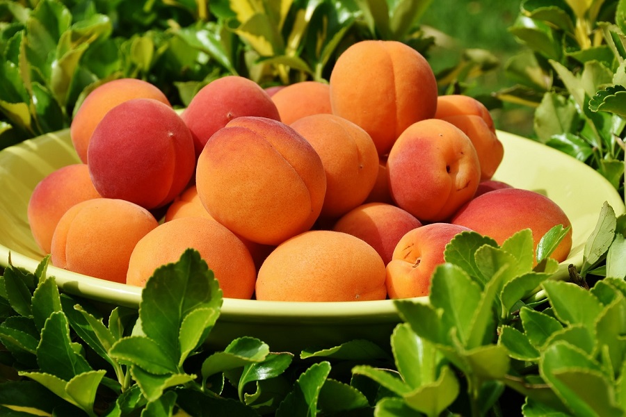 Crockpot Summer Dessert Recipes Close Up of a Bowl of Peaches Surrounded By Plants