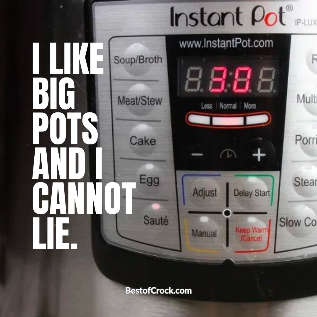 Funniest Instant Pot Memes I like big pots and I cannot Lie. 