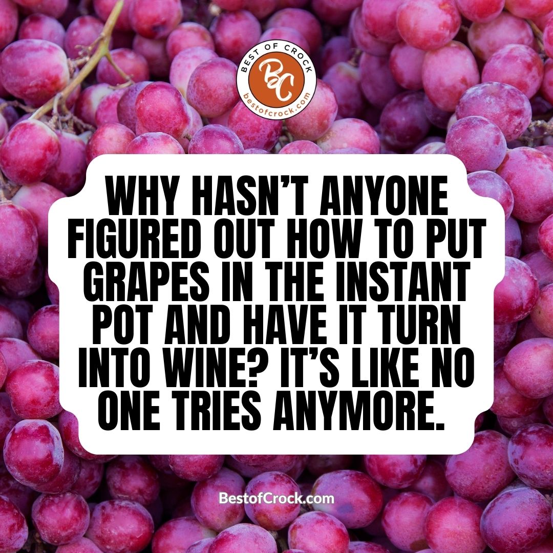Funniest Instant Pot Memes Why hasn’t anyone figured out how to put grapes in the Instant Pot and have it turn into wine? It’s like no one tries anymore.