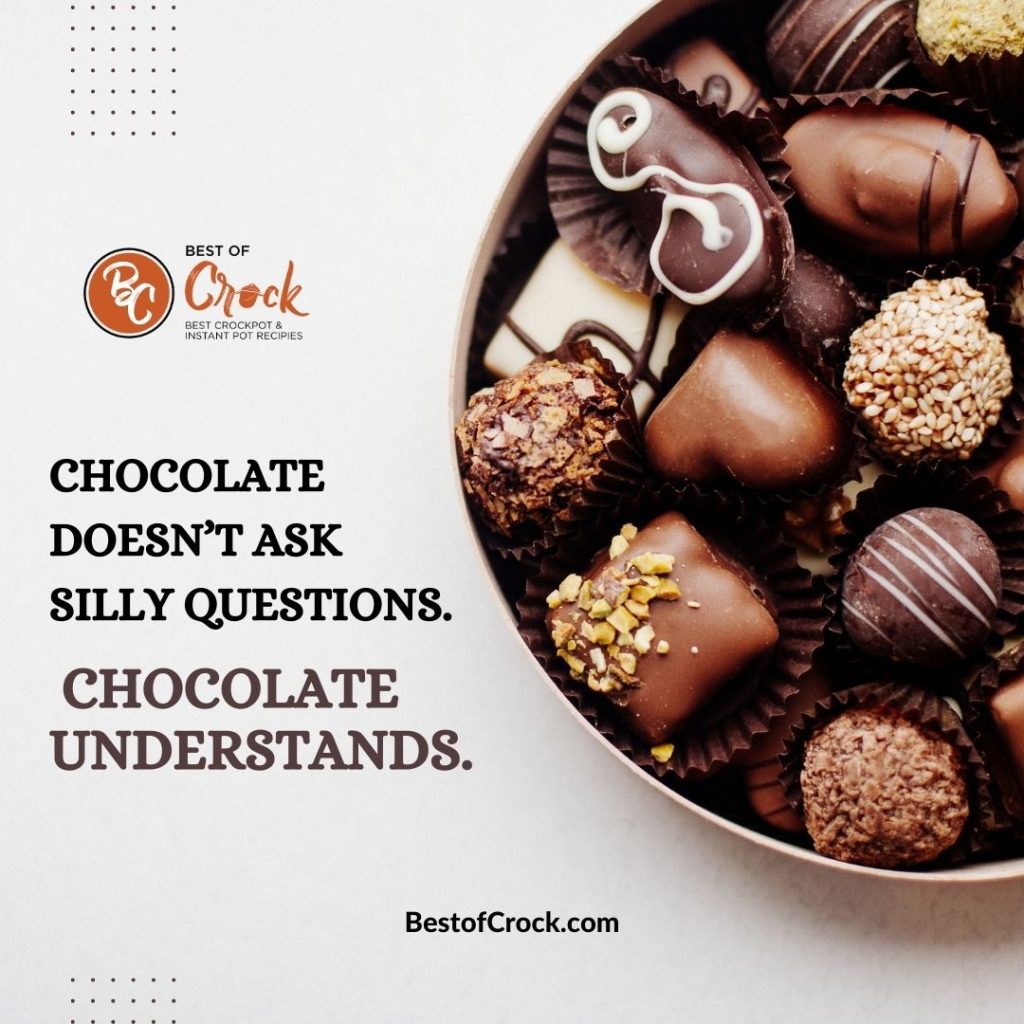 Chocolate Memes Chocolate doesn’t ask silly questions. Chocolate understands.