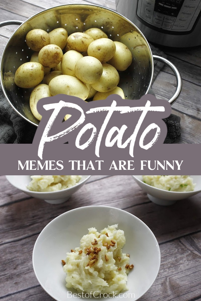 Funny potato memes will have you reeling from laughter while you find potato peeling tips that won’t cut your fingers. Funny Food Memes | Food Jokes | Jokes About Food | Memes for Home Cooks | Memes for Chefs | Memes About Food | Funny Kitchen Memes via @bestofcrock