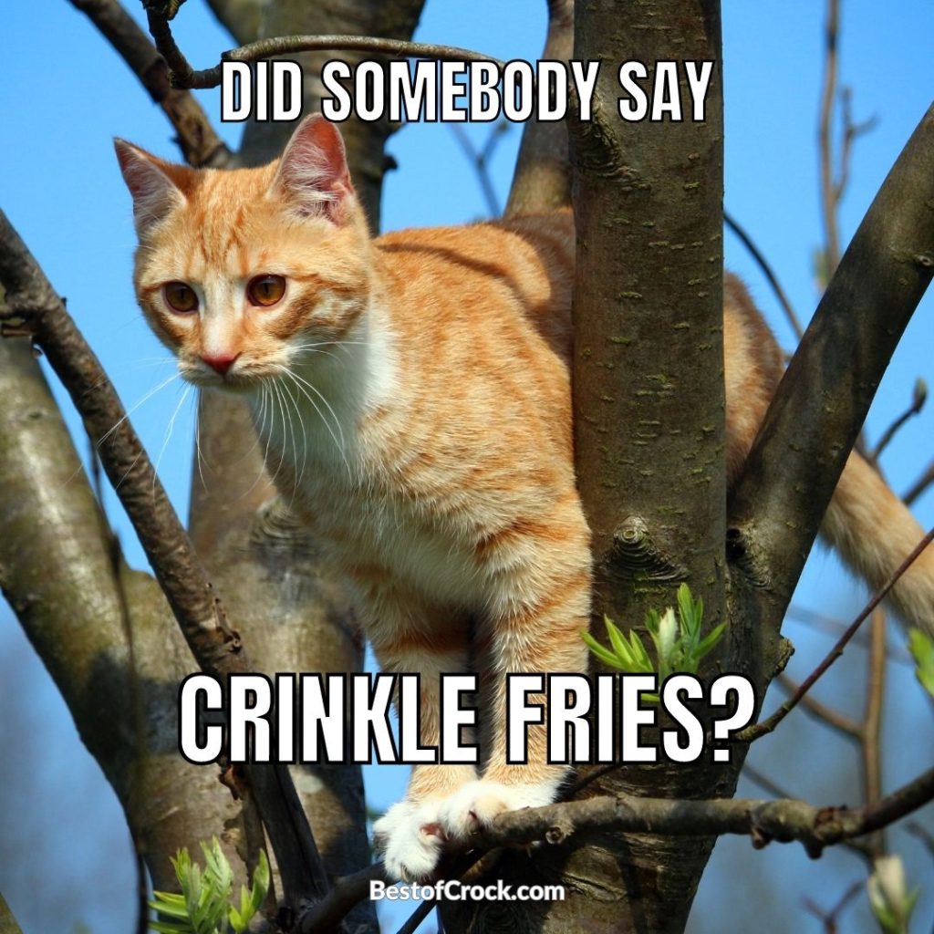 Funny Potato Memes Did somebody say crinkle fries?