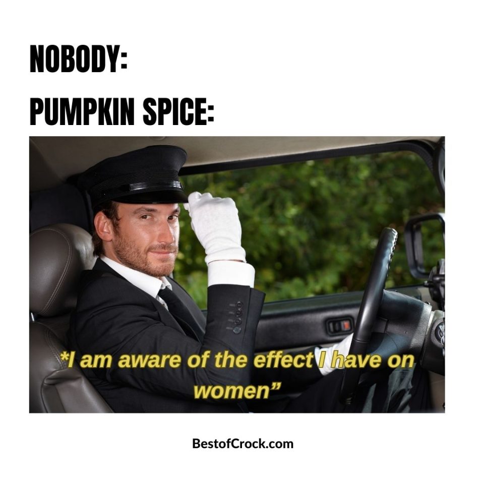 Funny Pumpkin Spice Memes To Go With That Latte   Funny Pumpkin Spice Memes For Pumpkin Season 960x960 