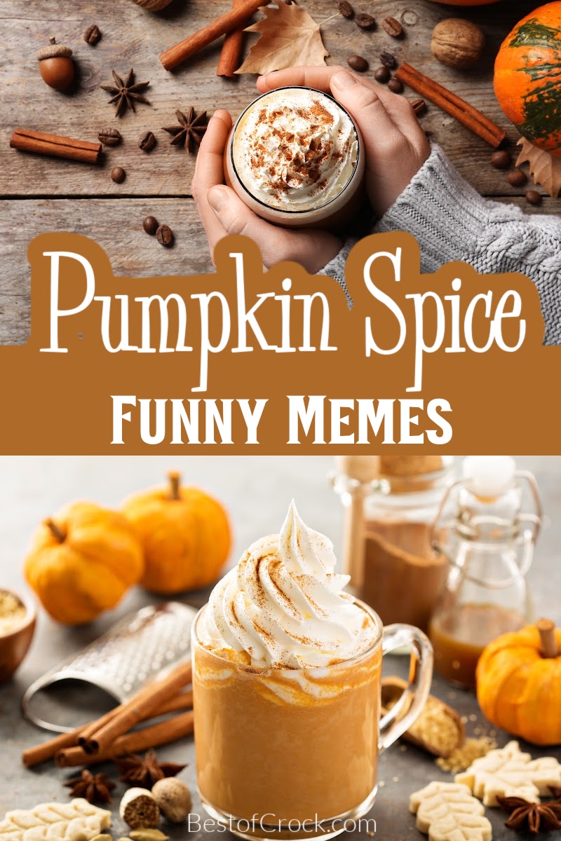 Funny pumpkin spice memes are spicy, delicious, and as basic as they get, with some humor that fits in well with those pumpkin spice latte recipes. Pumpkin Spice Quotes | Funny Starbucks Memes | Funny Coffee Memes | Quotes About Coffee | Quotes About Starbucks | Funny Memes for Fall | Funny Fall Memes via @bestofcrock